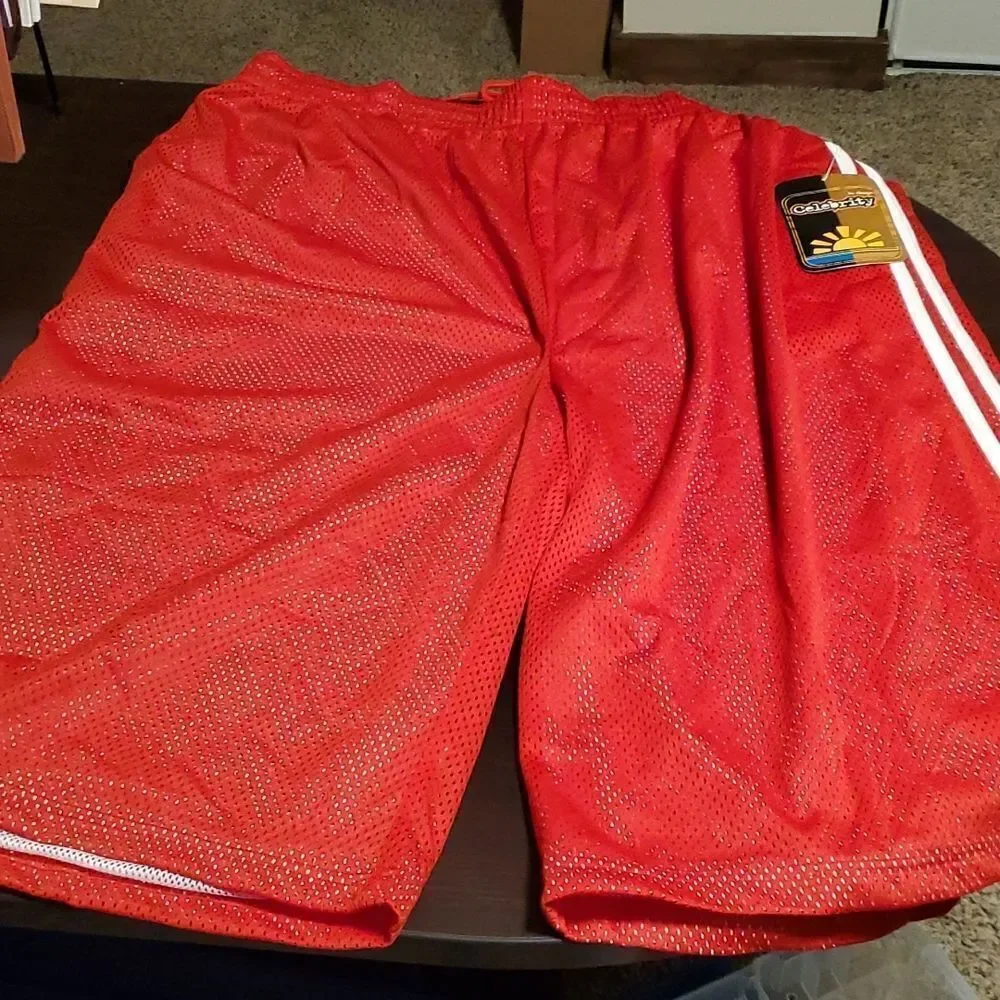 Men's Double Layered Mesh Shorts Big & Tall